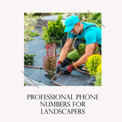 The Importance of Having a Professional Phone Number for Landscapers