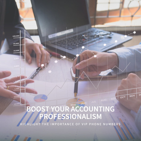 Boosting Professionalism in Accounting with VIP Phone Numbers Boosting Professionalism in Accounting with VIP Phone Numbers