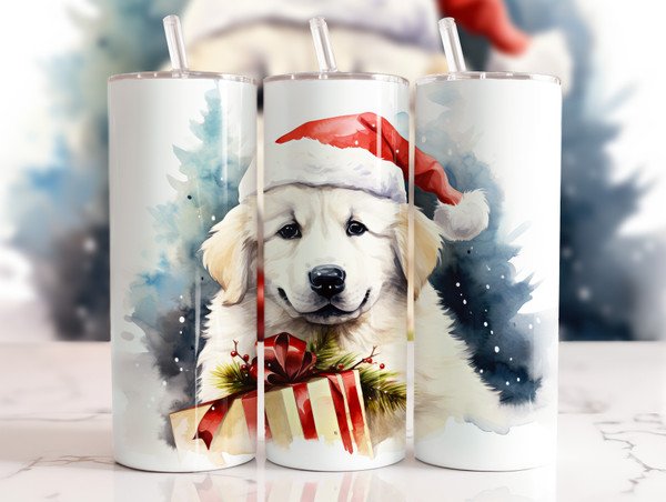 Pick your favorite design — or collect them all!