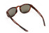 Sunwise Glide Brown with Polarised Lens