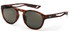 Sunwise Glide Brown Cricket Sunglasses with Polarised Lens