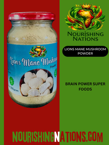 Lions Mane Mushroom Powder