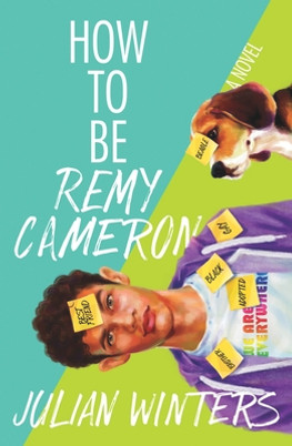 How to Be Remy Cameron (PB) (2019)