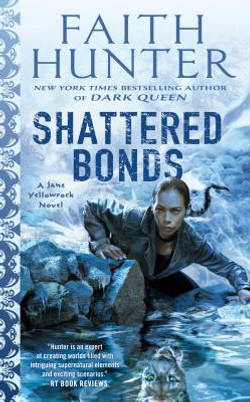 Shattered Bonds #13 (MM) (2019)