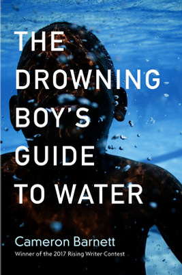 The Drowning Boy's Guide to Water (PB) (2017)