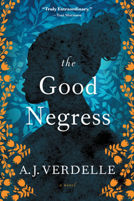 The Good Negress (PB) (2016)