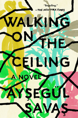 Walking on the Ceiling (PB) (2020)