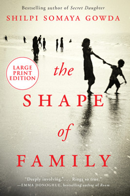 The Shape of Family (PB) (2020) (Large Print)