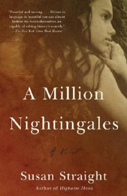 A Million Nightingales (PB) (2007)
