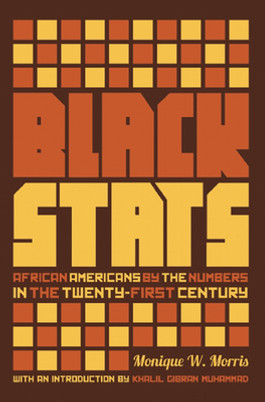 Black Stats: African Americans by the Numbers in the Twenty-First Century (PB) (2014)
