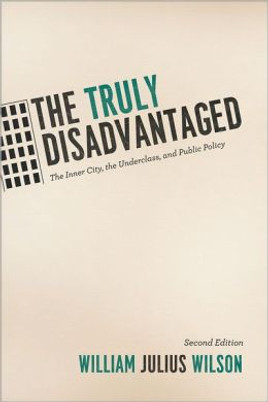 The Truly Disadvantaged: The Inner City, the Underclass, and Public Policy (2ND ed.)