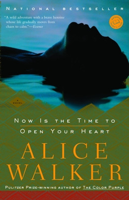 Now Is the Time to Open Your Heart (PB) (2005)