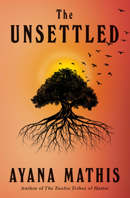 The Unsettled (HC) (2023)