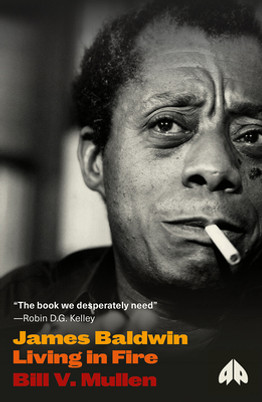 James Baldwin: Living in Fire (PB) (2024)