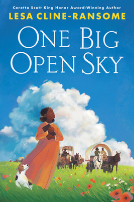 One Big Open Sky (HC) (2024)