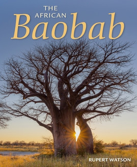 The African Baobab (PB) (2024)