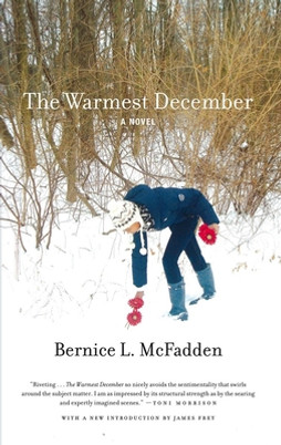 The Warmest December (PB) (2012)