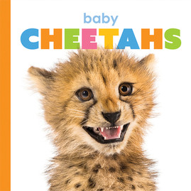 Baby Cheetahs (PB) (2020)