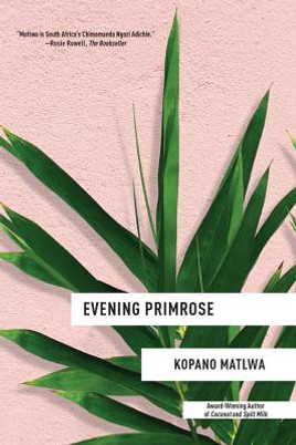 Evening Primrose (PB) (2019)