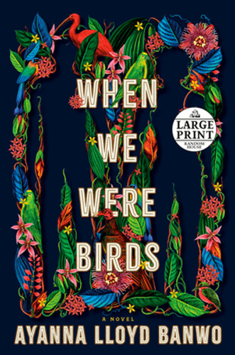 When We Were Birds (PB) (2022) (Large Print) When We Were Birds (PB) (2022) (Large Print)