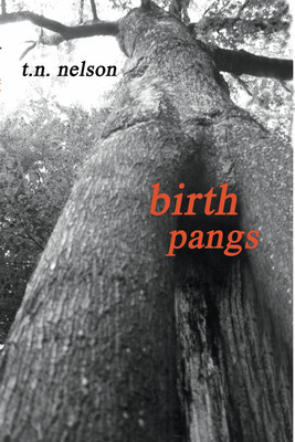 Birth Pangs (HC) (2003)