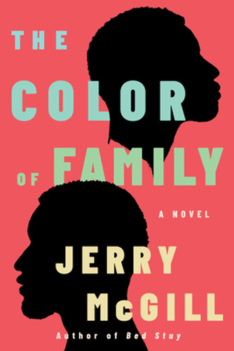 The Color of Family (PB) (2023)