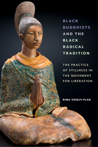 Black Buddhists and the Black Radical Tradition: The Practice of Stillness in the Movement for Liberation (PB) (2022)