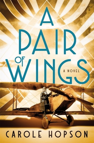 A Pair of Wings (HC) (2024)