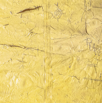 David Hammons (HC) (2025)