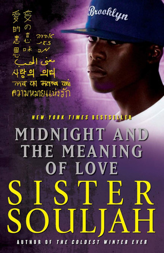 Midnight and the Meaning of Love (Midnight #2)