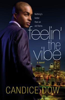 Feelin' the Vibe (PB) (2009)