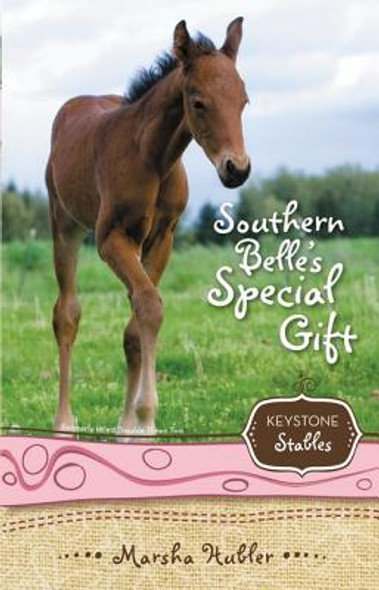 Southern Belle's Special Gift, 3 (PB) (2009)