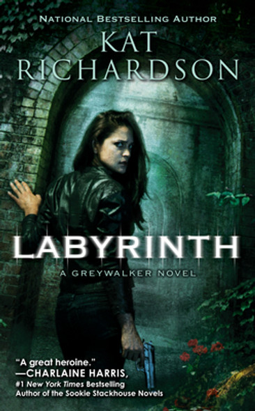 Labyrinth #5 (MM) (2011)