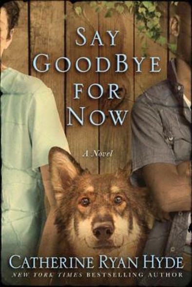 Say Goodbye for Now (PB) (2016)