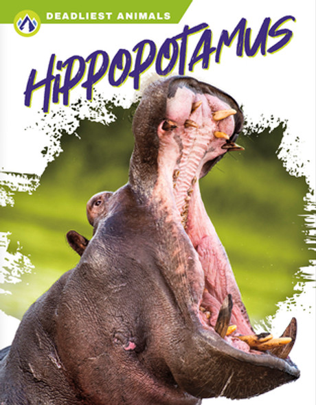 Hippopotamus (PB) (2022)