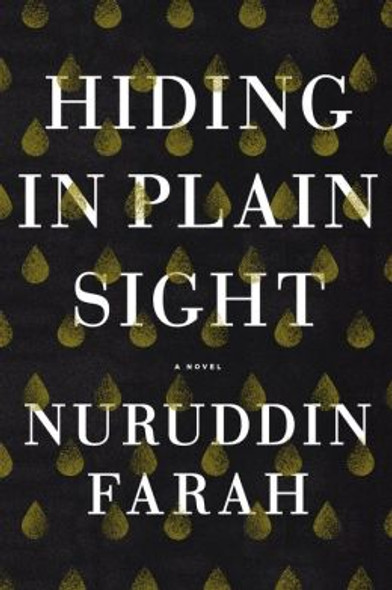 Hiding in Plain Sight