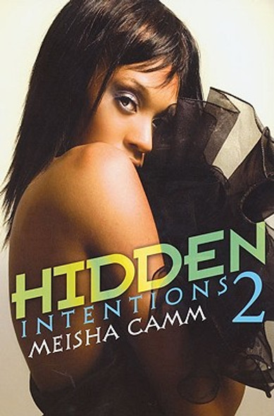 Hidden Intentions 2 #2 (PB) (2010)