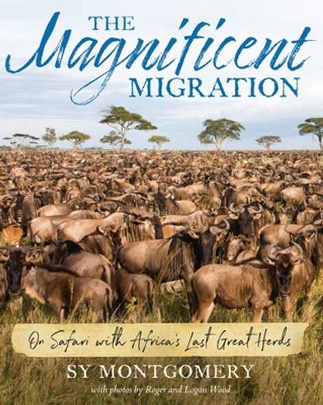 Magnificent Migration: On Safari with Africa's Last Great Herds (PB) (2024)