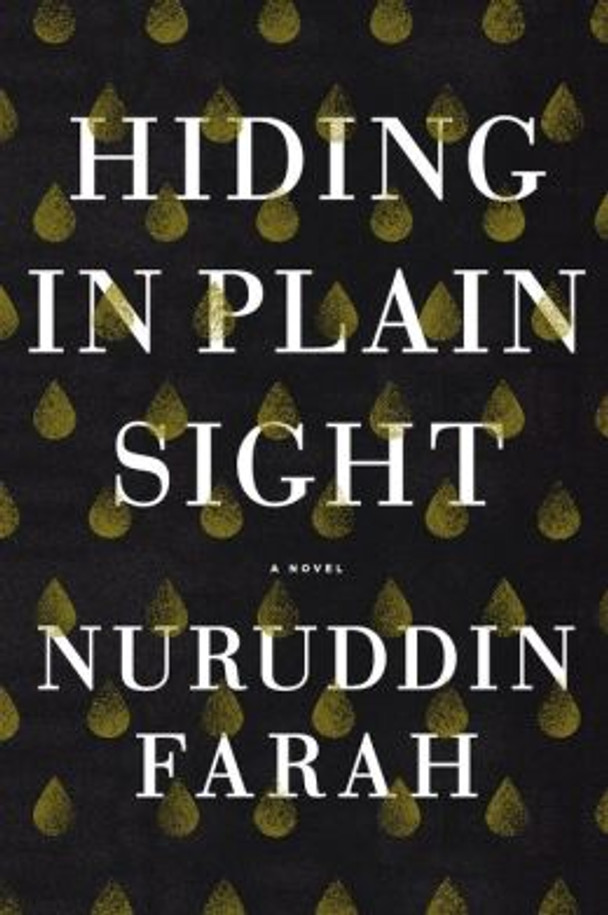 Hiding in Plain Sight