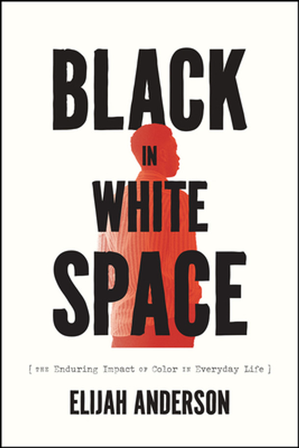 Black in White Space: The Enduring Impact of Color in Everyday Life (PB) (2023)