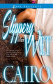 Slippery When Wet (PB) (2013)