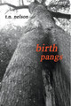 Birth Pangs (HC) (2003)