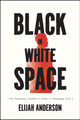 Black in White Space: The Enduring Impact of Color in Everyday Life (PB) (2023)