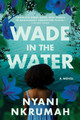 Wade in the Water (PB) (2024)