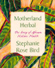 Motherland Herbal: The Story of African Holistic Health (PB) (2024)