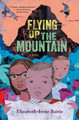 Flying Up the Mountain (PB) (2024)