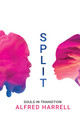 Split: Souls in Transition (PB) (2024)
