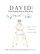 David: From Keeping Sheep to Being King: Book 1 of the Young yet Chosen! Series (HC) (2021)