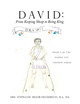 David: From Keeping Sheep to Being King: Book 1 of the Young yet Chosen! Series (PB) (2021)