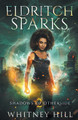Eldritch Sparks: Shadows of Otherside Book 2 #2 (PB) (2020)